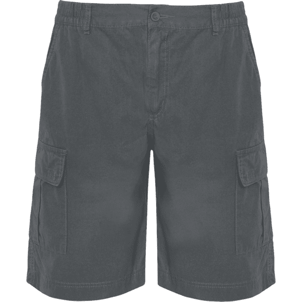 Armsport cinzento frente