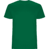 T-shirt Stafsport verde